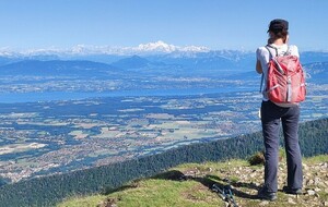 TREK JURA