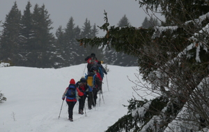 La Dent du Loup 15 janvier 2024