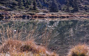 Lac de Léat 4 novembre 2024