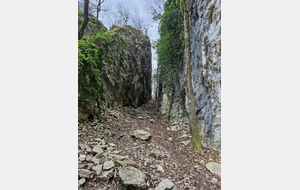 La Tour sans venin 22 déc. 2025
"Le coup de sabre"