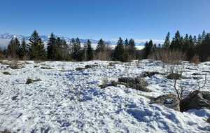 La Sure 5 janvier 2026