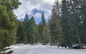 Bois Barbu 9 mars 2026