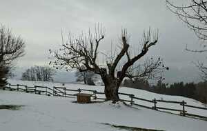 Plateau de Sornin 30 mars 2026