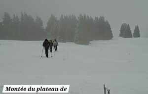 Plateau de Sornin 30 mars 2026