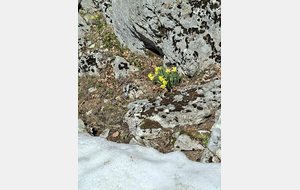 20 avril 2026 Les Ecouges