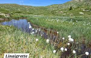 Lac Fourchu les Crêtes 6 juillet 2026