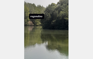 Normalement on devrait voir des ragondins ...