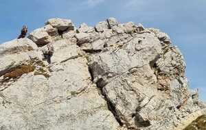 6ad84620e36f2_IMG20261020WA0006.jpg