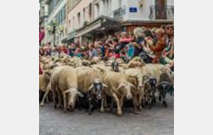 Retour des Alpages à Annecy