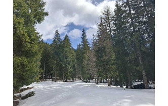 Bois Barbu 9 mars 2026