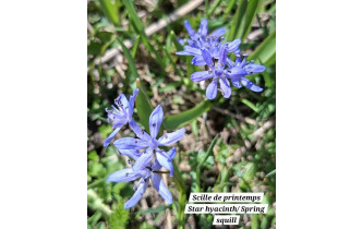 20 avril 2026 Les Ecouges