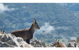 Corrençon Le Pas d'Ernadant 12 oct. 2026